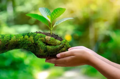 تسليط الضوء بأبيدجان على أسس نجاح المنظومة الفلاحية المغربية