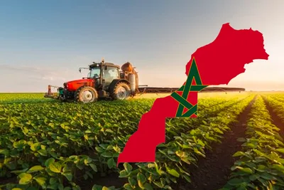 الموسم الفلاحي 2022-2023 : بداية جيدة بفضل التساقطات المطرية الأخيرة