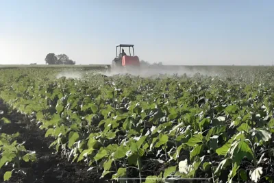 سطات: الفلاحون يستبشرون خيرا مع بداية الموسم الفلاحي برسم سنة 2023 -2024