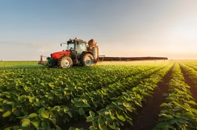 الموسم الفلاحي 2024-2025: ثلاثة أسئلة للمدير الإقليمي للفلاحة بمكناس