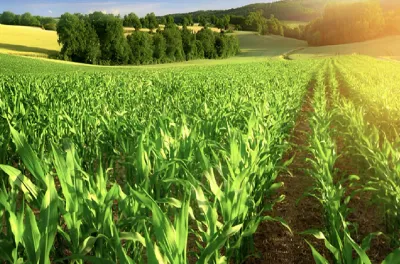 ريادة الأعمال الفلاحية وشبه الفلاحية : إطلاق قافلة "Next Gen – الجيل الجديد" بجهة فاس-مكناس