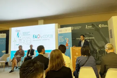 قمة المناخ 2023: مشاركون في لقاء تشاوري يوصون بإنشاء تحالف دولي لمواكبة تنمية مستدامة للواحات