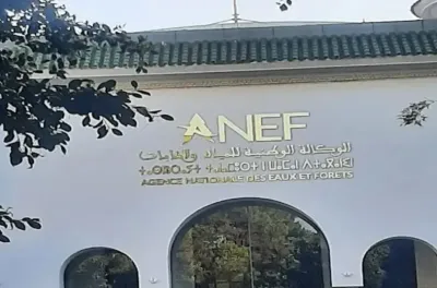 مؤتمر الاتحاد الدولي للمحافظة على الطبيعة.. الوكالة الوطنية للمياه والغابات تطلق الاستراتيجية الوطنية الأولى لحماية الطيور الجارحة