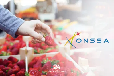 أونسا توضح بخصوص سلامة فاكهة الفراولة المغربية