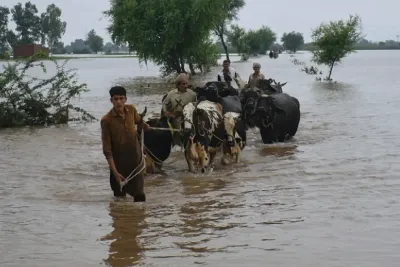 الهند.. تساقطات غزيرة وفيضانات مدمرة في شمال البلاد