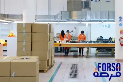 السيد برقاد: برنامج فرصة واكبة 21 ألفا و200 مشروعا في أزيد من 30 قطاعا