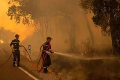 توزيع إعانات مالية على أصحاب المنازل المتضررة من حرائق الغابات بإقليم تطوان