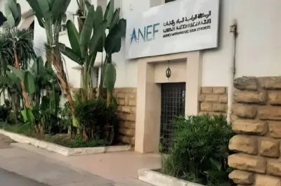 تحيين المخطط التوجيهي للمناطق المحمية يوفر مرجعا حديثا لتدبير التراث الطبيعي الوطني (السيد هومي)