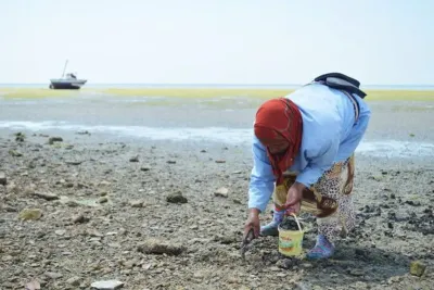 الجديدة: رفع الحظر عن جمع وتسويق الصدفيات بمنطقة جمعة ولاد غانم ـ الدار الحمرا