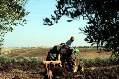 القطاع الفلاحي .. التدابير التي أمر بها الملك محمد السادس تبعث الأمل في النفوس
