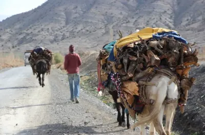 تنغير.. جملة من التدابير الوقائية للتخفيف من آثار موجة البرد