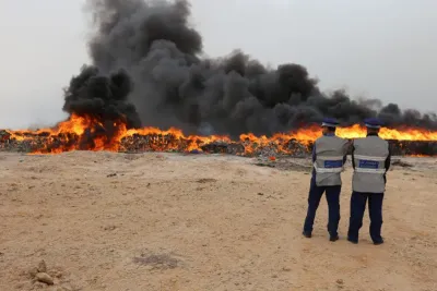 المديرية الجمركية للجنوب تعلن إتلاف أزيد من ثمانية أطنان من مخدر الشيرا بالداخلة