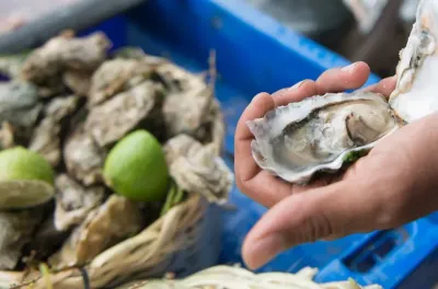 تارغة - الشماعلة: رفع الحظر عن جمع وتسويق الصدفيات