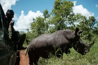 جنوب إفريقيا .. إصابة مشتبه فيه بصيد وحيد القرن في اشتباك مع حراس منتزه كروغر