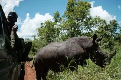 جنوب إفريقيا .. 352 وحيد قرن تعرض للقتل سنة 2025، بانخفاض بنسبة 16 بالمئة (وزير)