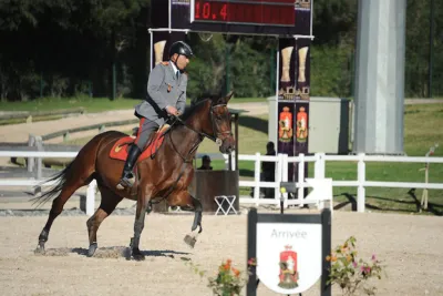 الرباط : انطلاق منافسات المباراة الرسمية للحرس الملكي في القفز على الحواجز