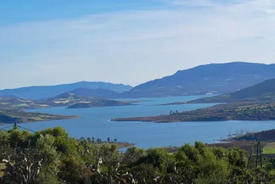 حوض اللوكوس يحقق نتائج مهمة على صعيد سلسلة الزراعات السكرية