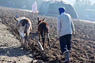 الشروع في تنفيذ برنامج جديد لدعم الفلاحين ابتداء الشهر الجاري