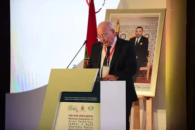 المؤتمر الإفريقي لأمراض الدواجن 2022 : السيد عبد الله بنعثمان يبرز خطورة إنفلونزا الطيور على قطاع تربية الدواجن