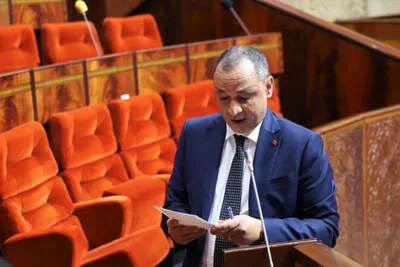 بنك المشاريع: وزير التجارة والصناعة يعلن عن الموافقة على 1539 مشروعا في مجال حماية الصناعة المحلية