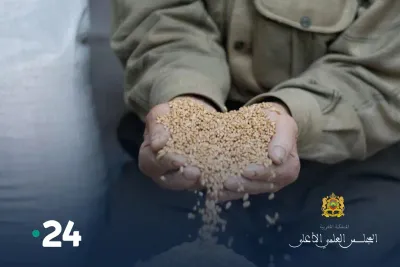 20 درهما مغربيا قيمة زكاة الفطر حسب رأي المجلس العلمي الأعلى