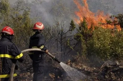 سرعة التدخل تمكن من إخماد حريق غابوي بجبل "أغاندرو" بجماعة عبد الغاية السواحل بإقليم الحسيمة