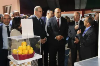 سلسلة التفاح.. قطاع إستراتيجي للاقتصاد الوطني يحظى بدعم قوي من الدولة