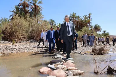 صديقي: تشخيص دقيق وإجراءات استعجالية للتخفيف من آثار التساقطات المطرية القوية على الفلاحة بإقليم ورزازات