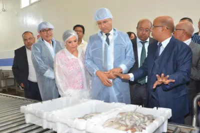 السيد محمد صديقي يعطي الانطلاقة الرسمية للعمل بالرقمنة خلال عمليات البيع بميناء أكادير