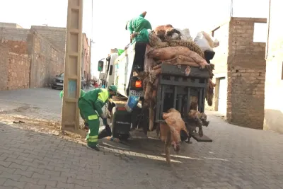 عمال النظافة أمام تحدي جمع أكوام غير معتادة من النفايات في عيد الأضحى
