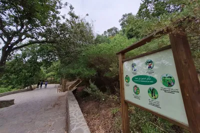 طنجة: تخصيص 34,6 مليون درهم لتأهيل وحماية الغابات الحضرية