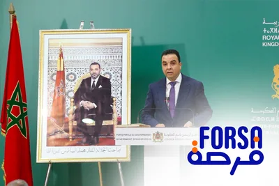 برنامج فرصة 2022 : اللجان الجهوية تصادق إلى حد الآن على 452 مشروعا