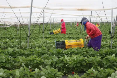 الاستثمارات الإنتاجية المرتقبة بالقطب الفلاحي اللوكوس ستبلغ 3.5 مليار درهم