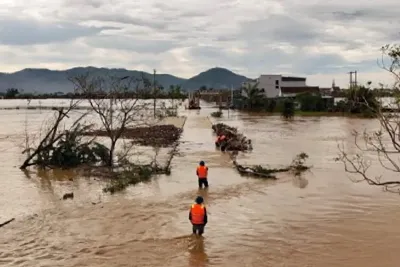 فيتنام.. ارتفاع حصيلة ضحايا الإعصار "بوالوي" إلى 19 شخصا