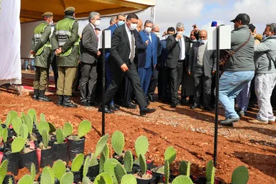 السيد صديقي يعطي الانطلاقة لمشروع غرس أصناف من الصبار المقاومة للحشرة القرمزية