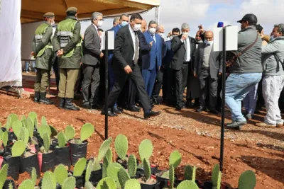 قلعة السراغنة.. رقم هاتفي لتلقي الشكايات وتقديم الخدمات