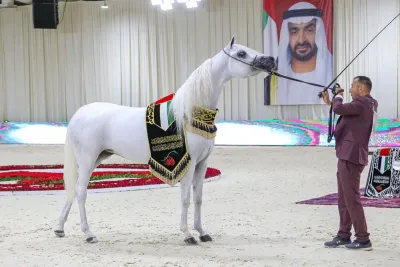 كأس الإمارات العالمية لجمال الخيول العربية (محطة المغرب 2024) يومي 20 و21 يوليوز بالرباط
