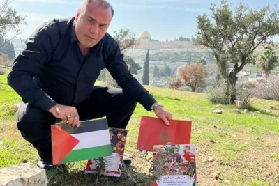 فلسطين : مؤسسة سيدة الأرض تغرس شجرتي زيتون احتفاءً بالمنتخب المغربي