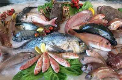 الدورة السابعة من مبادرة "الحوت بثمن معقول": توزيع أزيد من 4 آلاف طن من الأسماك المجمدة