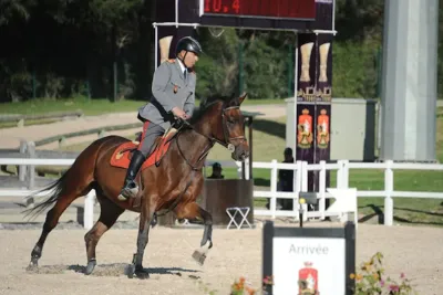 الحرس الملكي ينظم المباراة الرسمية للقفز على الحواجز 3* من 26 إلى 28 ماي الجاري بالرباط