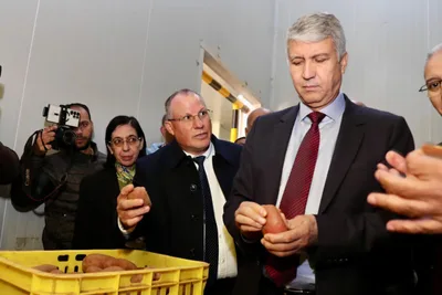 محمد صديقي يشيد بالحصيلة الجد إيجابية التي حققها المكتب الجهوي للاستثمار الفلاحي لسوس- ماسة برسم 2023