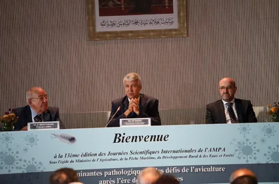 صحة الدواجن.. السيد صديقي يدعو إلى تحول عميق في نظم الإنتاج