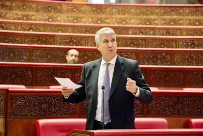 وزير الفلاحة: ارتفاع معدل التساقطات المطرية إلى حدود أبريل بـ 9 في المائة مقارنة مع السنة الماضية