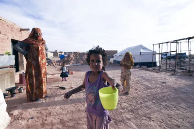 مجلس حقوق الإنسان.. ناشط صحراوي يدعو المجتمع الدولي إلى تحميل الجزائر مسؤولية انتهاكات حقوق الإنسان بمخيمات تندوف