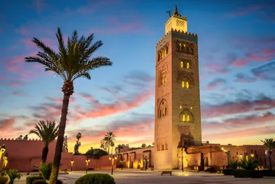 القمة العربية لريادة الأعمال 2023: مراكش تحتضن الحدث