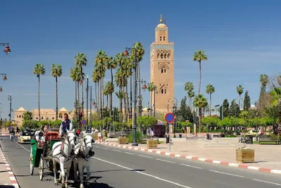 ما يقارب 200 مشارك من أزيد من 48 بلدا في فعاليات "مراكش عاصمة شباب العالم الإسلامي 2025"