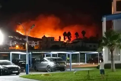 تواصل الجهود لإخماد حريق غابوي بغابة كدية الطيفور بالمضيق