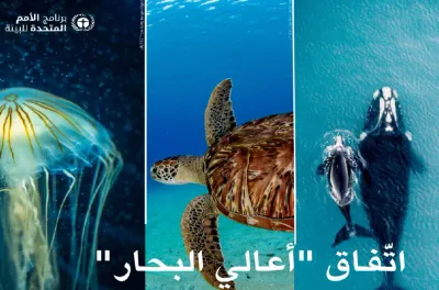 نيس.. المغرب يشارك في الاحتفال بدخول معاهدة أعالي البحار حيز التنفيذ