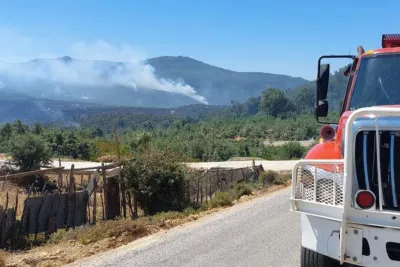 تنفيذا للتعليمات الملكية : توزيع إعانات مالية على أصحاب المنازل المتضررة من حرائق الغابات بالعرائش