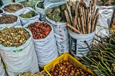 منظمة الصحة العالمية تطلق مكتبة رقمية تضم 1.6 مليون سجل عن الطب التقليدي